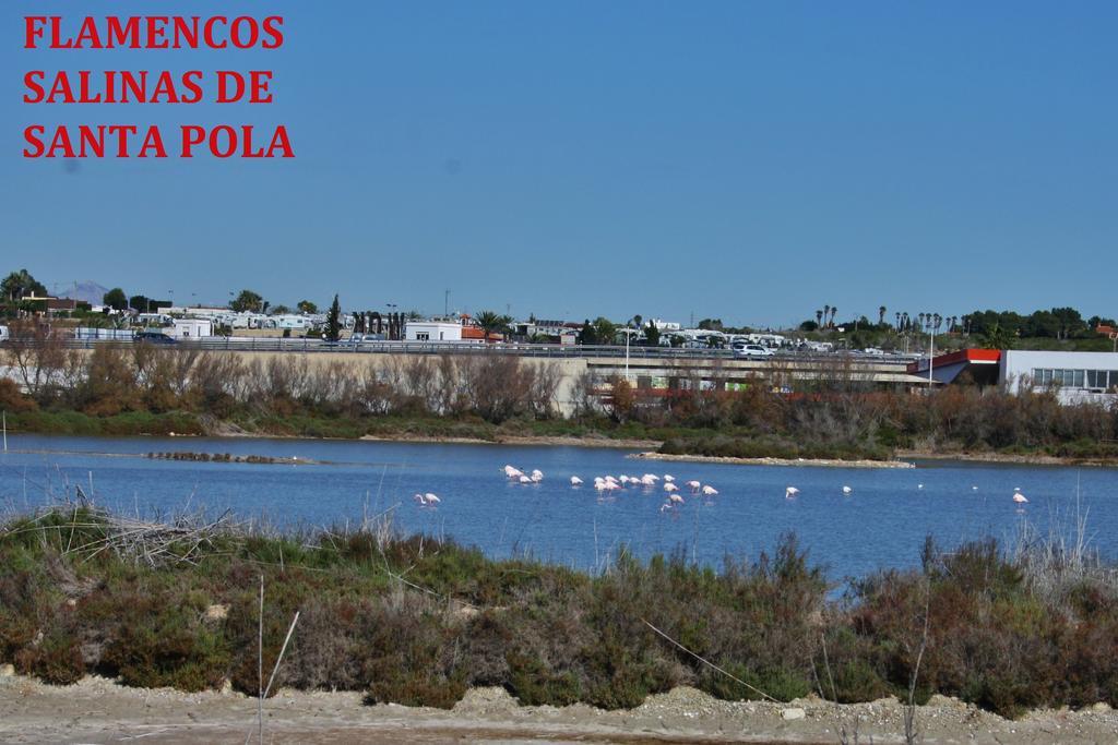 Estudio Marina De Santa Pola Exteriér fotografie